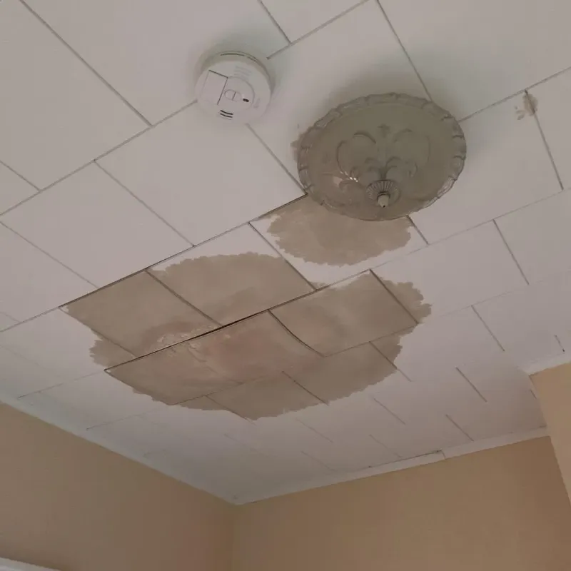 Ceiling Water Damage Repair in Gautier, MS