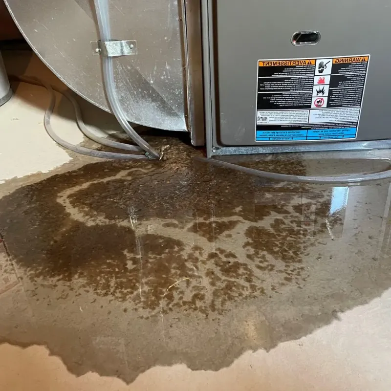 Pipe Burst and Leak Restoration in Gautier, MS