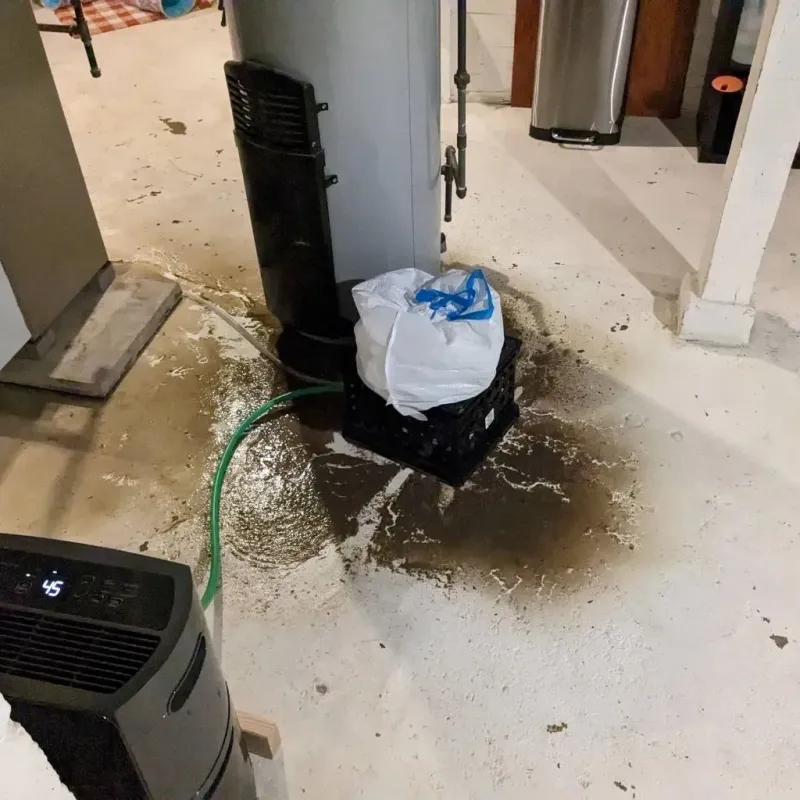 Sewage Backup Cleanup Service in Gautier, MS